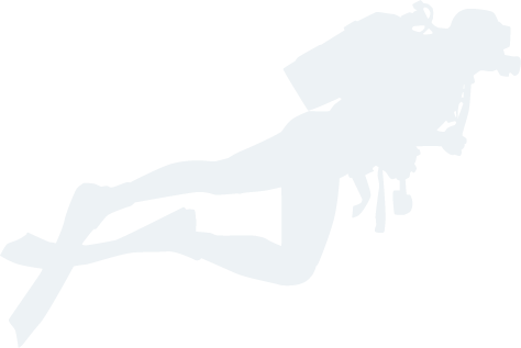 齐发国际
